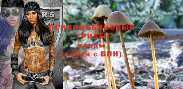 кокаин Богородицк