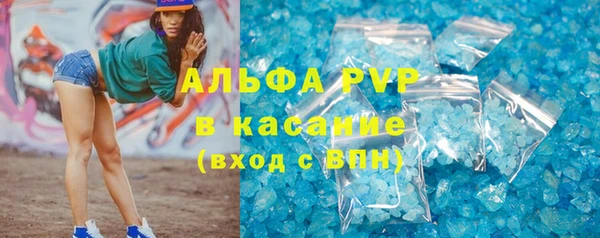 мяу мяу кристалл Богданович