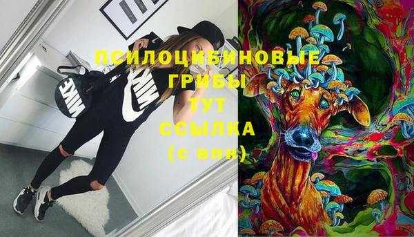 гидра Беломорск